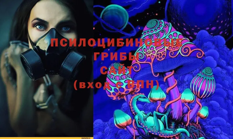 Галлюциногенные грибы Magic Shrooms  закладка  Тогучин 